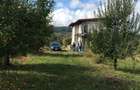 teren cu livada si casa la rosu - 3