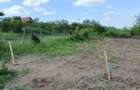 Teren de vanzare, 1079 m2(2parcele), Visan, jud.Iasi.Proprietar! - 3