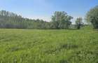 Teren intravilan comuna Botosana, judetul Suceava - 3