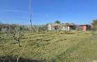 Vadu-Exclusivitate, casa 75mp, teren 1917 mp/31ml deschidere, centru - 11