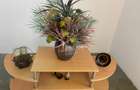 Apartament cu 3 camere decomandat în Clucerului - 3