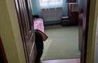 Vand ap. in casa curte - 9
