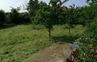 Casă cu 4 camere în Moara Vlăsiei - 5