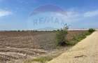 Teren Construcții de 10000 mp, în Nord-Vest - 4