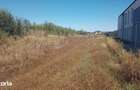 DE VANZARE TEREN INTRAVILAN 4000 (2000) MP LOC.1 DECEMBRIE (ILFOV) - 7