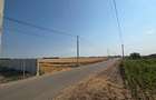 Teren intravilan de 4910 mp, în Ulmi - 5