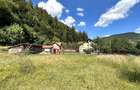 Teren Construcții intravilan de 4000 mp, în Brădet - 1