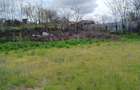 IJDILENI- 23 km de GALATI - ULTRACENTRAL- Teren plat parcelabil 1801 mp + casa vara - 2