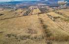 Teren extravilan de 5.800 mp in Sfantu Gheorghe:oportunitate - 4