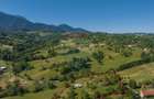 Teren intravilan de 5495 mp, în Bran - 26