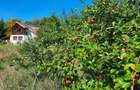 Casa de vacan?a cabana de vanatoare la Soveja, jud. Vrancea - 7