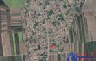 ID 6675 EXCLUSIVITATE - Teren cu casa in Sat Lunca- DELTA DUNARII - 15