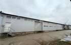 Hala industriala 1175 mp utili de vanzare in Cisnadie - 14