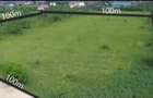 Teren Premium de Vanzare in Paulesti 9928mp - 2