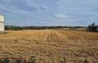 Vand teren intravilan Bals(Vartina), Olt - 2