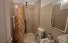 Apartament de inchiriat cu o camera River Towers Tudor cu loc de par - 4
