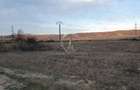 Teren intravilan zona Candesti BZ 10.000mp d=52m la DN10 Pret: 12 mp neg. - 4
