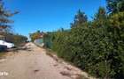 Teren Ciolpani Piscu langa Lac Scrovistea Zona Snagov - 1