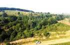 Teren de vanzare in Salicea, 10000 MP , Zona Moara de vant! - 8