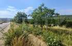 Teren intravilan, de vanzare, 1252 mp, zona Arghires - 2