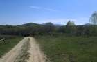 Teren intravilan 500 mp. Zarnesti/Tohanita - 5