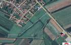Teren extravilan 3,56 hectare in Dorolt ( ID 22873) - 3