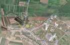 Teren agricol extravilan de 6000 mp, în Șura Mică - 1