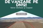 Teren extravilan de vanzare intre Chilieni ?i Co?eni, pe DN12! - 4