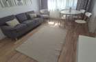 Apartament 2 camere de inchiriat pe Strada Banatului (zona RMB) - 4