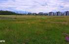 Teren Intravilan 2000mp-Turnisor (posibilitate 5000mp) - 4