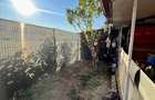 Apartament cu 2 camere semidecomandat în Prelungirea Ghencea - 12