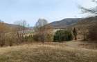 Teren Darmanesti, zona lac Valea Uzului, 3200 mp - 5
