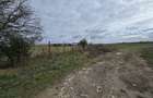 Comuna Amzacea- sat G.Scarisoreanu -Ferma zootehnica , teren 5,1ha - 7