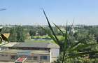 Apartament cu 2 camere decomandat în Pantelimon - 12
