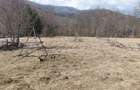 Teren de 1300 mp, în Valea Doftanei - 1