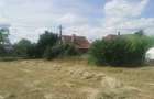 Casă cu 3 camere cu Teren 2000 Mp în Inand - 4