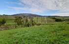 Teren intravilan agricol de vanzare in Betfia Bihor , Oradea - 1