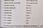DIRECT PROPRIETAR, Casa individuala la rosu, teren 760 mp - 9