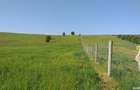 Proprietar vinde teren Feldioara DN13, 18000 mp - 4