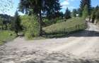 Vand 3000 mp teren intravilan + casuta de munte racordata la EON - 5