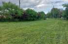 Teren de 4250 mp, în Ungureni (Dragomirești) - 5