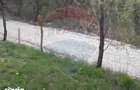 Teren intravilan 561 mp Sacele, zona Turche? (str. Morii) - 5