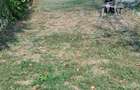 De vanzare casa, curte ?i gradina in Ora?tie - 6