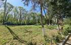 Apartament 2 camere Neptun - 7