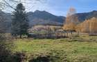 Teren 1000 mp intravilan, Tohanita, jud. Brasov - 5