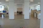 Spatii birouri, suprafata 350 mp - zona Progresul - 4
