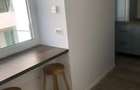 Apartament 3 camere  zona Parcul Carol ! - 21