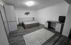 Inchiriere Studio 40 m2 Bucuresti - 3