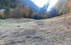 Teren de vanzare- Bicaz (Izvorul Muntelui)