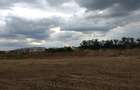 Teren intravilan de 800 mp, în Cihei - 10